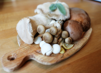 Ranking suszarek do grzybów. Top 10 najlepszych modeli