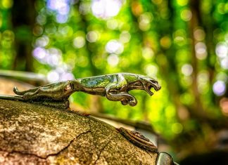 Emblematy na samochód