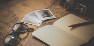 Atrakcje Podlasia. Białowieża