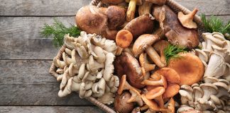 Jak mrozić warzywa, a jak grzyby