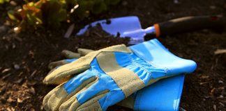 Niezbędne narzędzia ogrodnicze