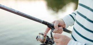 Sprzęt do method feeder