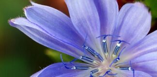 Jak dobrać zamiennik kondensatora?