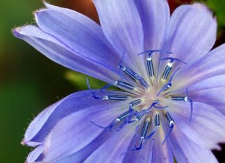 Jak dobrać zamiennik kondensatora? Jak dobrać zamiennik kondensatora?