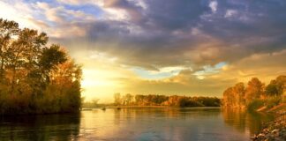 Co ile wymieniać koło pasowe?