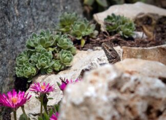 Jak usunąć tłuste plamy z szyb? Jak usunąć tłuste plamy z szyb?