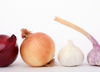 Czy cebula nadaje się na kompost?