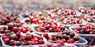 Czy w odpływie wanny powinna stać wodą?