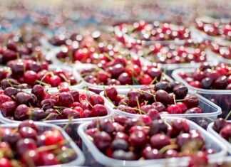 Czy w odpływie wanny powinna stać wodą?