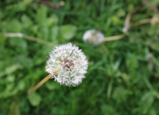 Czy neutralizator rdzy działa? Czy neutralizator rdzy działa?