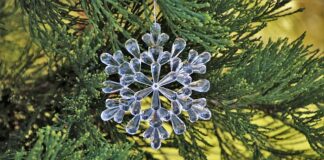 Jak ozdobić bukiet kwiatów?