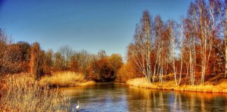 Jak wymienić Click Clack?