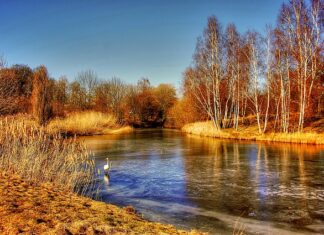 Jak wymienić Click Clack?