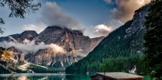 Gdzie Kora miała dom?