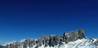 Jak zrobić płynny nawóz ze skorupek jaj?