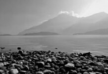 Ile kosztuje sztućce? Ile kosztuje sztućce?