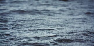 Czy w syfonie powinna stać woda?