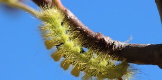 Ile kosztuje prostownik do akumulatorów żelowych?