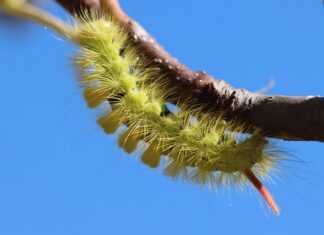 Ile kosztuje prostownik do akumulatorów żelowych?