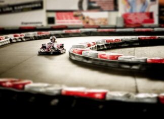 Jak przyspieszyć rozkład gałęzi? Jak przyspieszyć rozkład gałęzi?