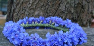 Jak zrobić wianek z szyszek na cmentarz?