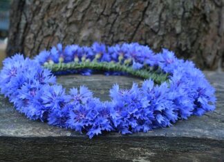 Jak zrobić wianek z szyszek na cmentarz?