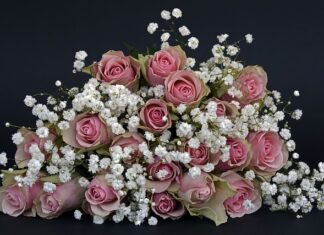 Jakich kwiatów nie wolno trzymać w domu? Jakich kwiatów nie wolno trzymać w domu?