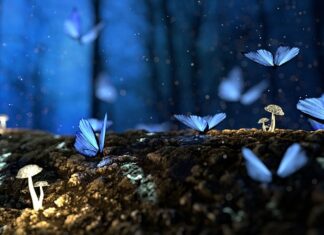 Dlaczego drewno nie pali się w kominku?