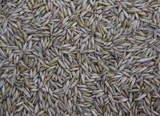 Kto produkuje umywalki dla IKEA? Kto produkuje umywalki dla IKEA?