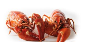 Po czym poznać że w ciele rozwija się rak?