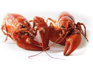 Po czym poznać że w ciele rozwija się rak?