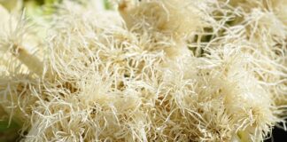 Do czego służy przycisk AC w samochodzie?