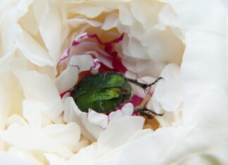 Jak rozciągnąć kombinezon motocyklowy? Jak rozciągnąć kombinezon motocyklowy?