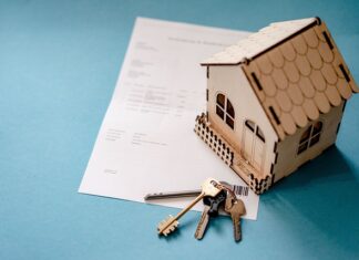 Co posadzić pod oknami domu?