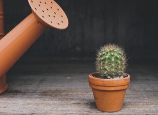 Do czego służy Konewka?