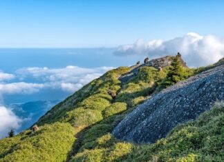 Czy 6000 mAh to dużo? Czy 6000 mAh to dużo?