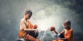 Ile kosztuje czyszczenie komina 2023?