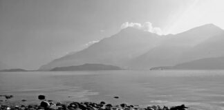 Ile kosztuje wyważanie wału napędowego?