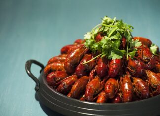 Jakie są najgorsze nowotwory? Jakie są najgorsze nowotwory?