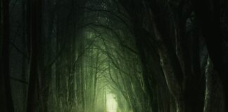 Jak pozbyć się zielonego nalotu na dachu?