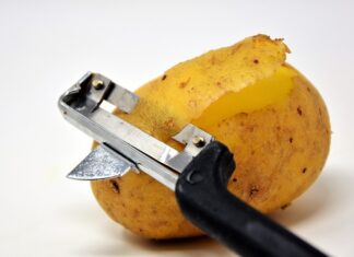 Czy obierki z cebuli na kompost?