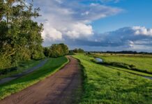 Ile kosztuje wał do 3P? Ile kosztuje wał do 3P?