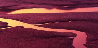 Jak naprawić odpływ w wannie?