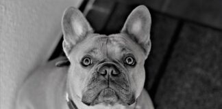 Co postawić w korytarzu?