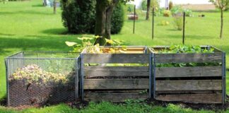 Czy kompostownik powinien mieć dno?