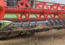 Jakie błędy popełniamy przy koszeniu trawy?