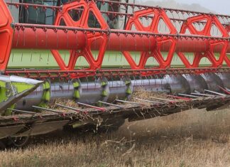 Jakie błędy popełniamy przy koszeniu trawy?