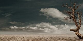 Na czym polega suchy syfon?