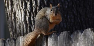 Co daje kucie stali?