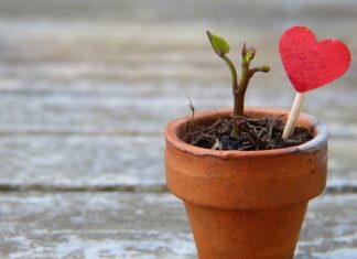 Jak rozciągnąć skórzane rękawice motocyklowe? Jak rozciągnąć skórzane rękawice motocyklowe?